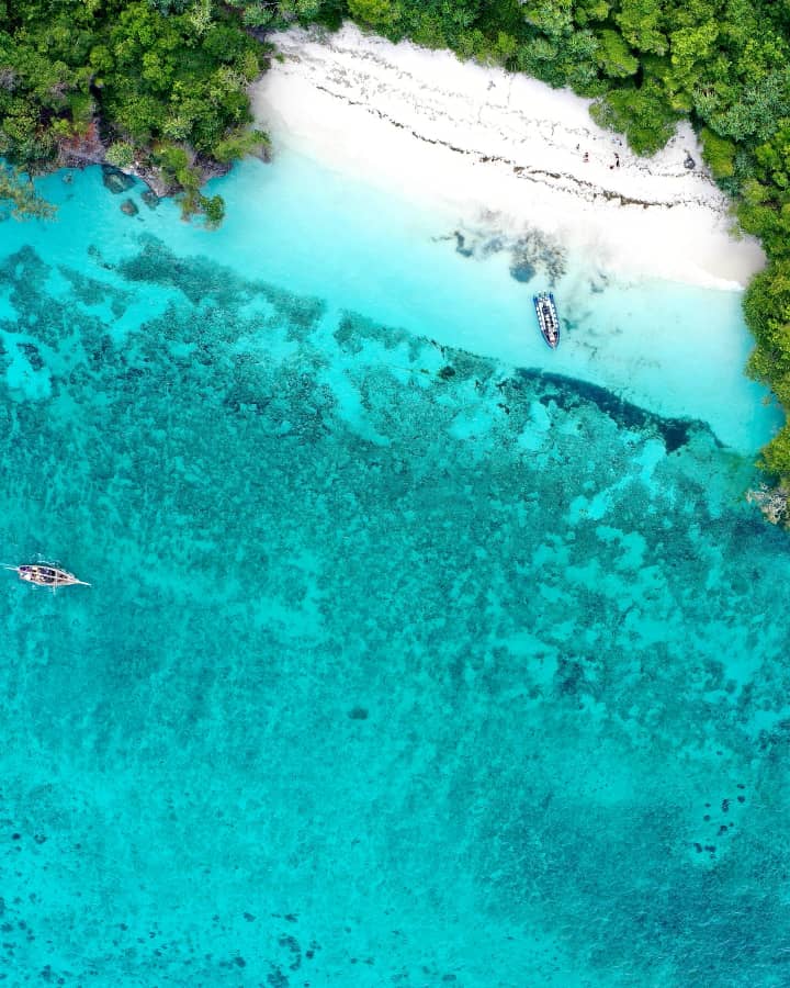 Zanzibar Beaches and wildlife