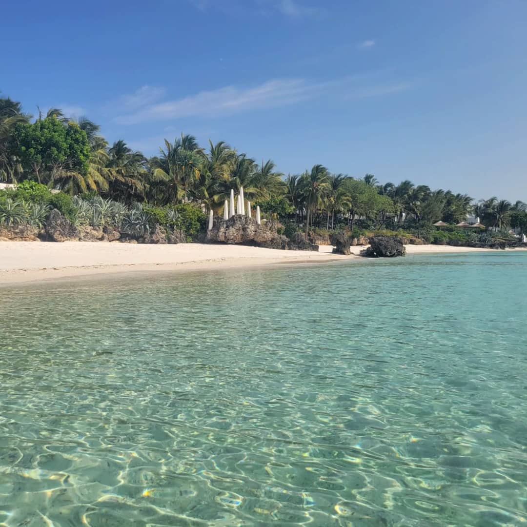 Zanzibar Beaches and wildlife